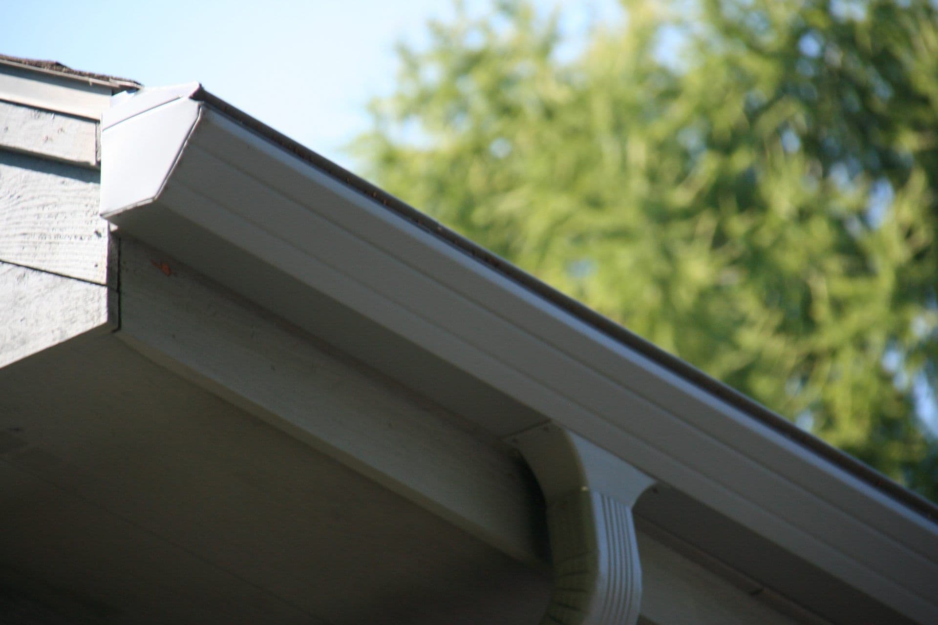 Gutter