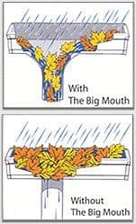 big-mouth-leaf