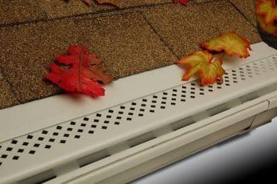 Gutter-Protection-Arbor-Vitae-WI leaves
